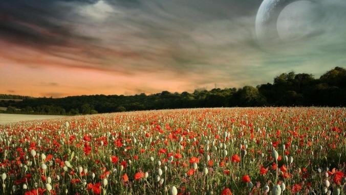 网页上的字体变了怎么办？